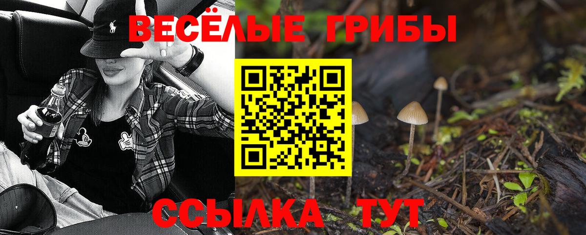 Псилоцибиновые грибы Magic Shrooms Челябинск