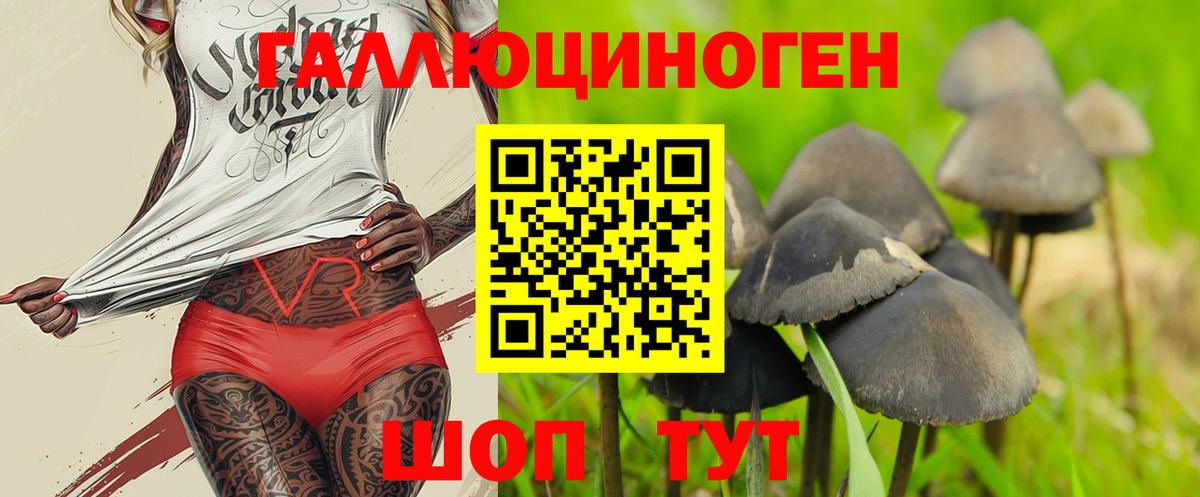 Псилоцибиновые грибы прущие грибы  Вход с VPN  Челябинск 